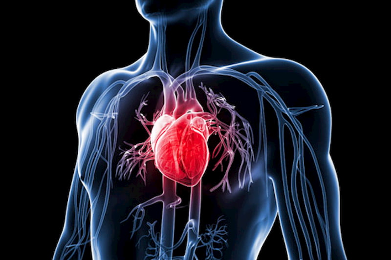 heart health