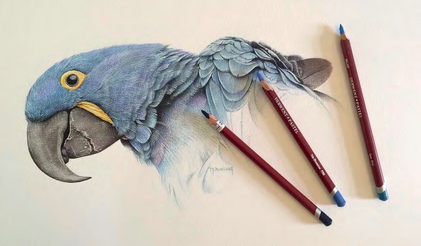 Pastel Pencils