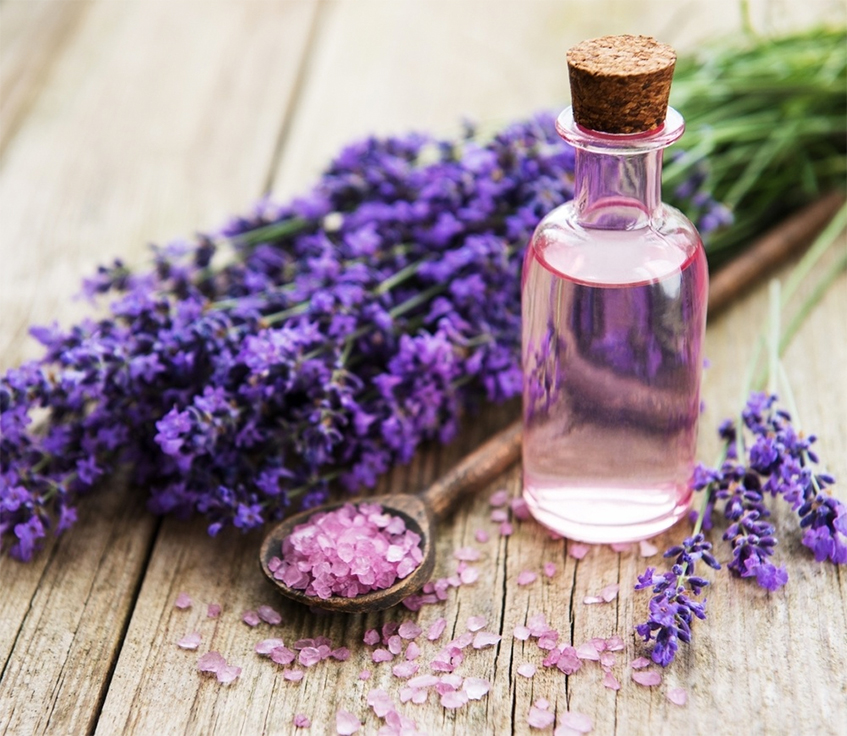 lavender-oil-essential
