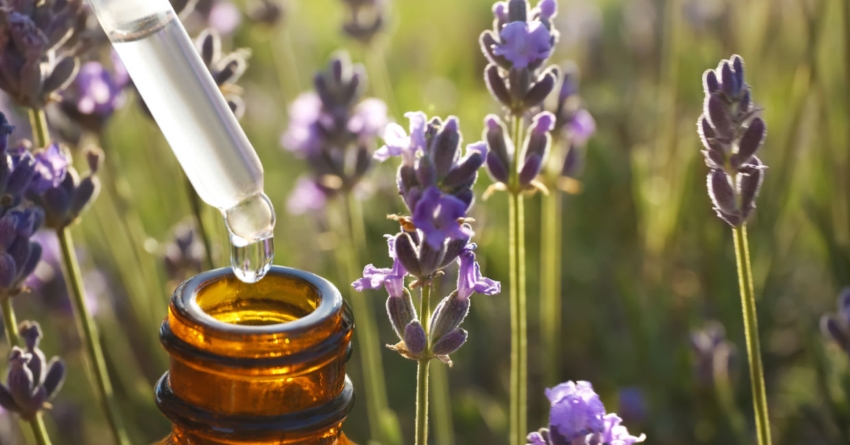oils as medications for headache